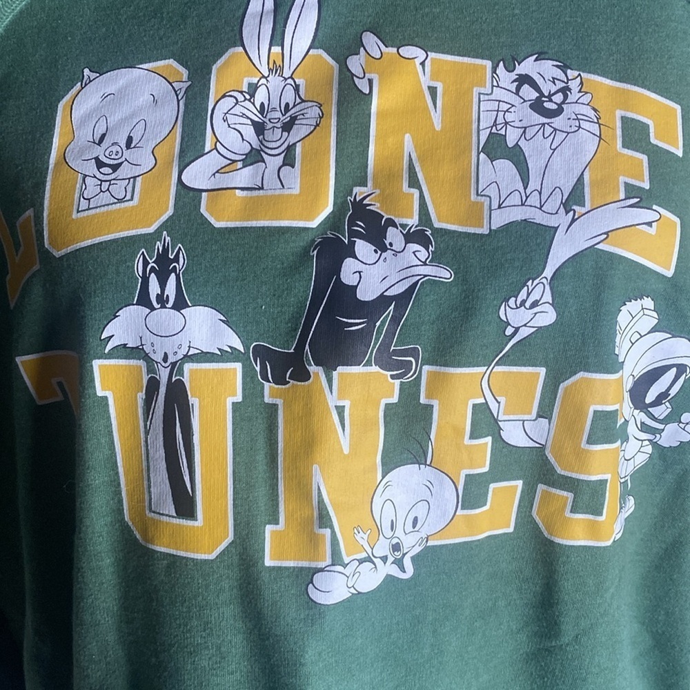 Looney Tunes Heather Green Hoodie Bugs Porky Marvin Tweety Taz Daffy + Sz L - Picture 2 of 4